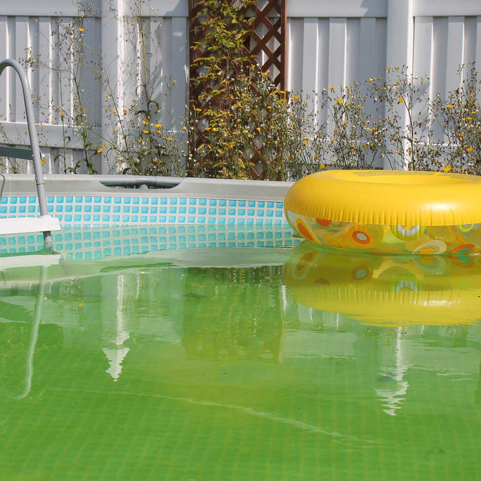 Algae In Your Swimming Pool - Great Backyard Place