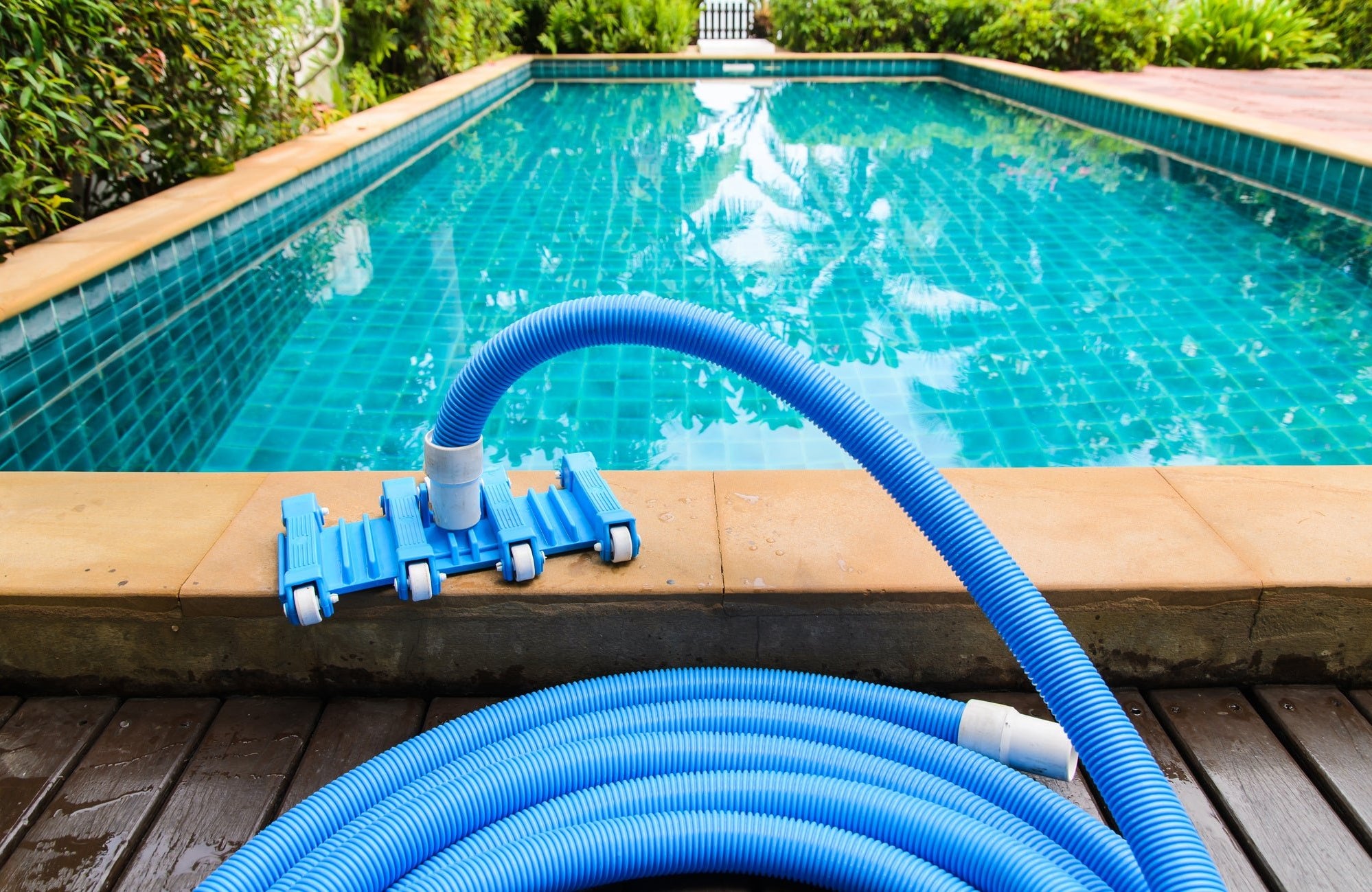 Essential Swimming Pool Supplies | Pools and more | Great Backyard ...