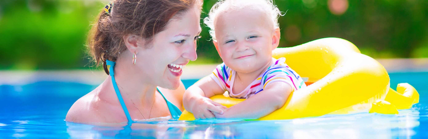 Top 10 Tips For A Mosquito-Free Pool - Great Backyard Place