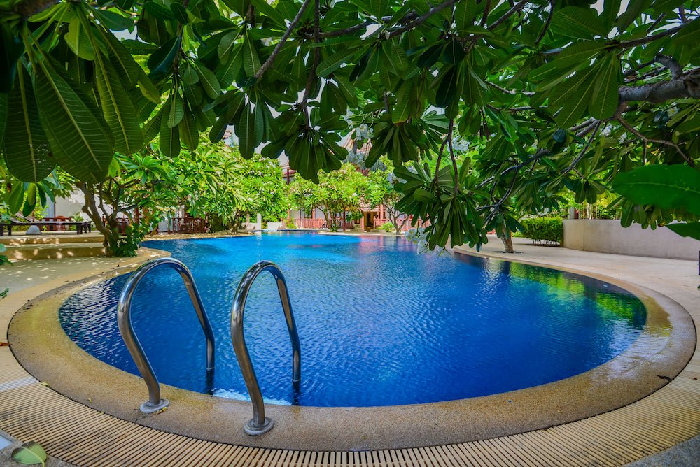 What Trees Should I Plant Around My Pool? | Great Backyard Place The ...