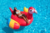 Giant Parrot Pool Float - Great Backyard Place