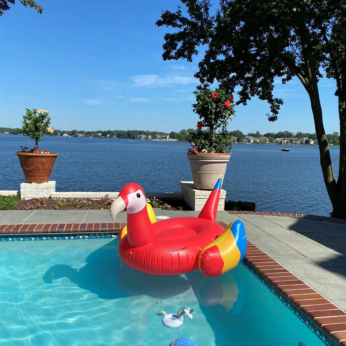 Giant Parrot Pool Float - Great Backyard Place