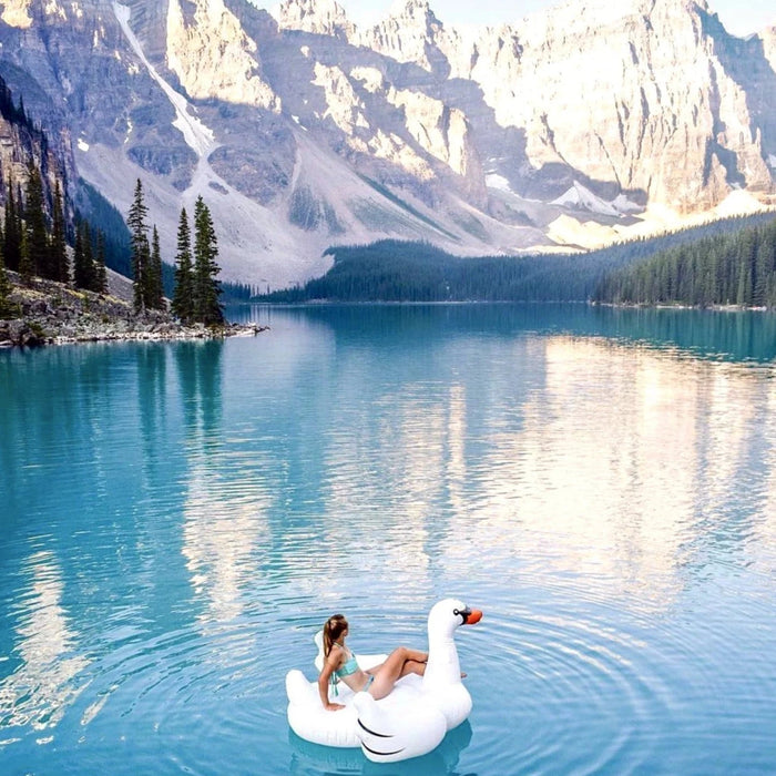 Giant Swan Pool Float - Great Backyard Place