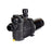Inground 1.5 HP 2 Speed Pool Pump - Great Backyard Place