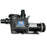 110 SMF 1HP 1 Speed In - Ground Pool Pump - Great Backyard Place
