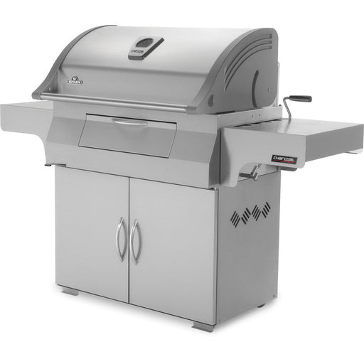Charcoal Professional Stainless Steel Grill - Great Backyard Place