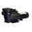Valterra 1.25HP Single Speed In - Ground Pool Pump - Great Backyard Place