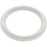 Waterway 2" Heater O - Ring/Gasket - Great Backyard Place